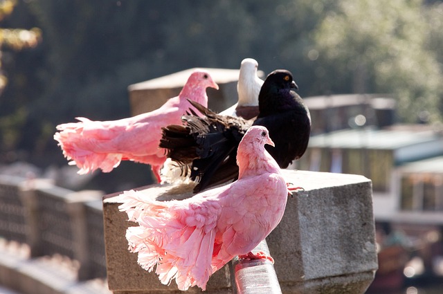 挑戰我們對 挑戰我們對