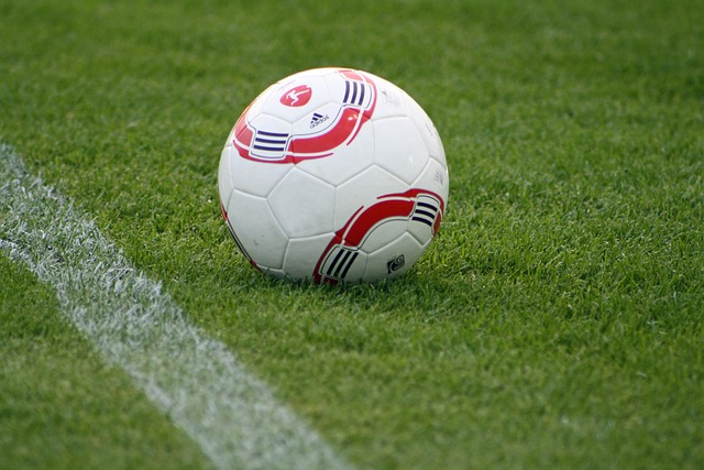 期待这些精 期待这些精