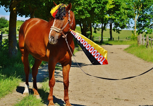 巴坎布加盟 巴坎布加盟