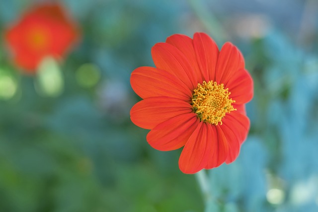 留在国米 留在国米