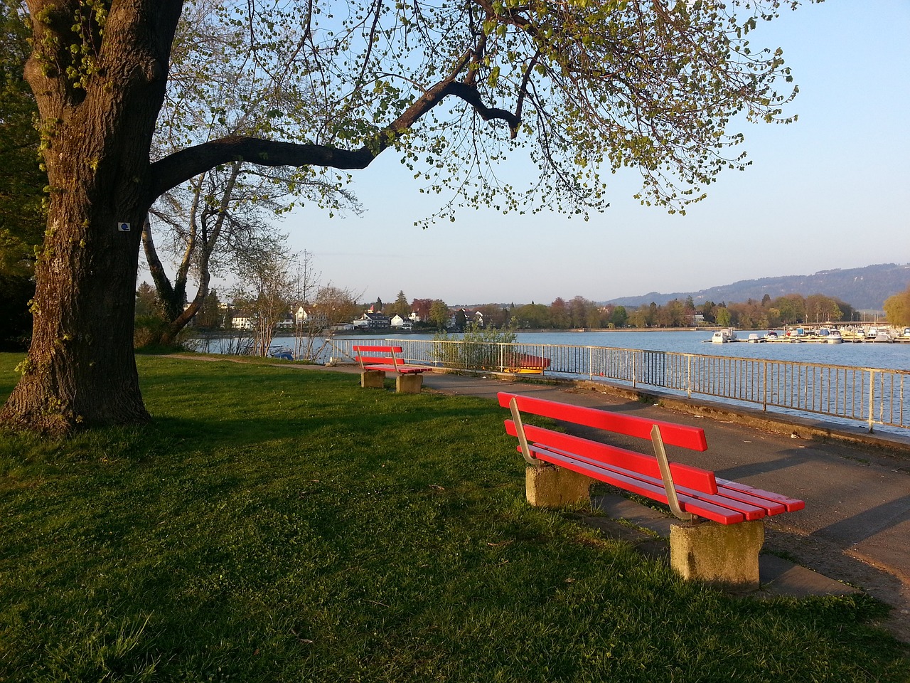 对阵容进行 对阵容进行