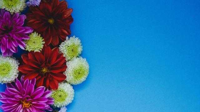 2024粤港澳公路自行车赛举办.