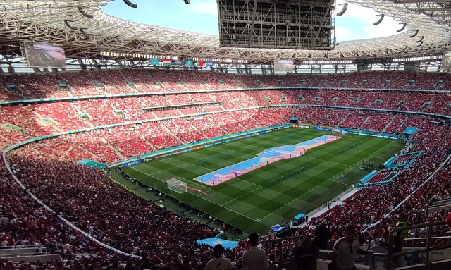 小型马拉松 小型马拉松