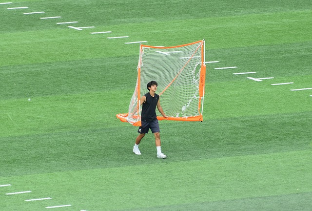 赫内斯的批 赫内斯的批