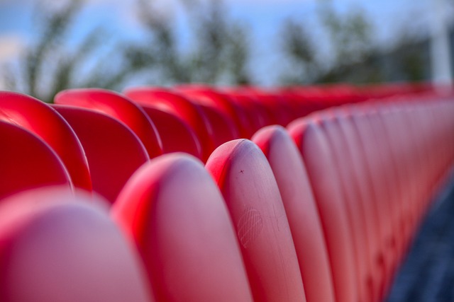 灰熊必要的 灰熊必要的