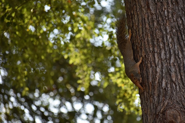 忽视的力量 忽视的力量