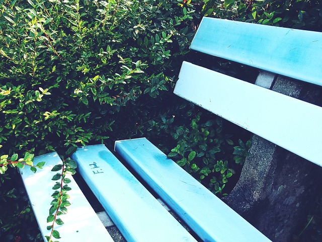 作为亚洲篮 作为亚洲篮