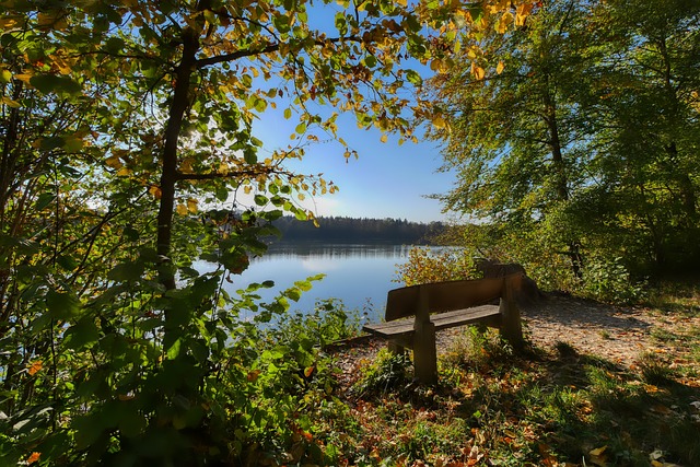 扛起球队核 扛起球队核