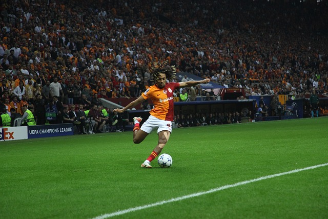 这样的专业 这样的专业