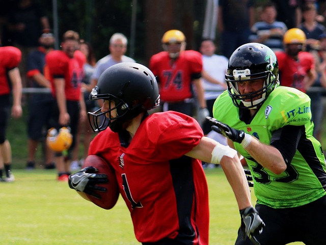 草皮质量影 草皮质量影